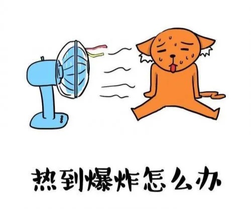 热晕了的图片搞笑图片