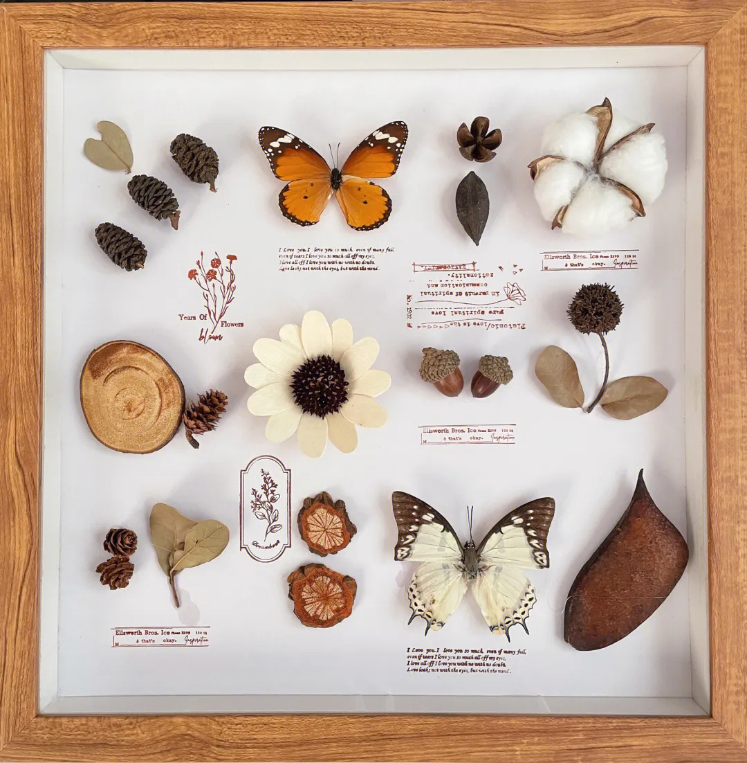 制作鲜花标本是一种很有趣的手工艺活动,可以留住春天美丽的花朵,让