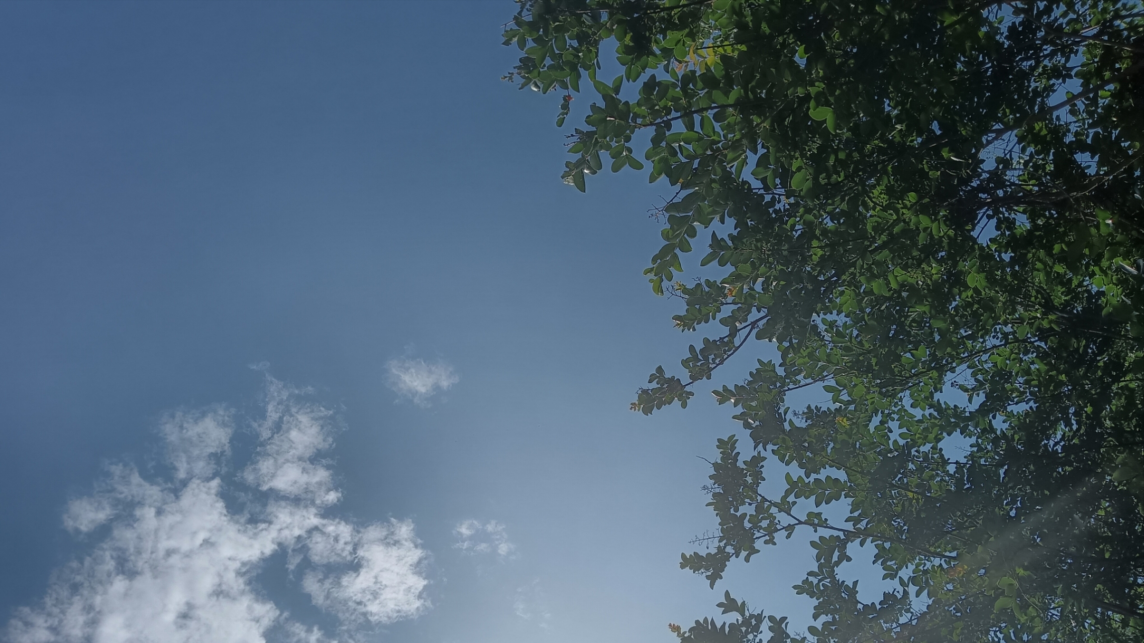 天空湛蓝如洗,阳光透过云层洒下,温暖而耀眼.