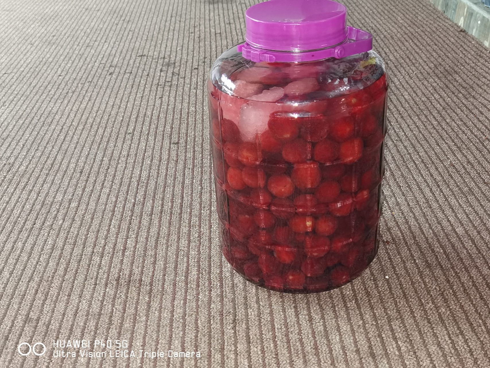 刚制作的杨梅酒