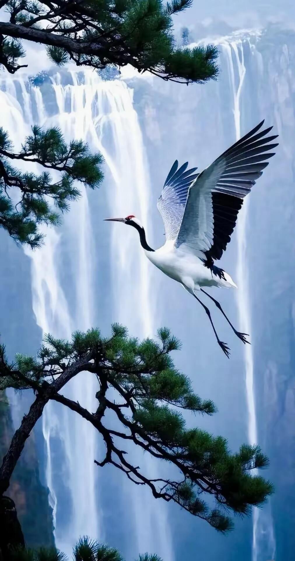 捕捉到一只优雅的仙鹤在瀑布前展翅飞翔,画面太美,忍不住想要和大自然