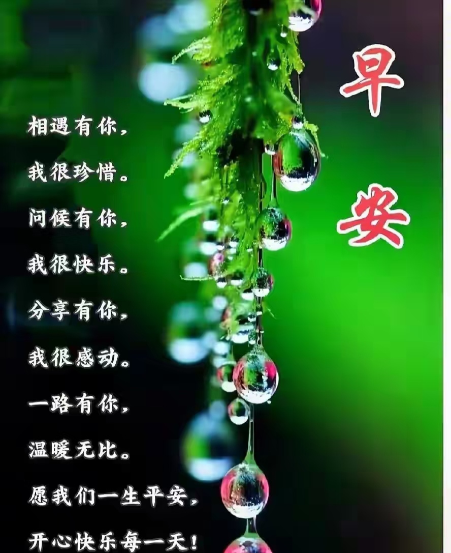 与你同行,每一天都闪耀着珍惜的光芒,快乐与温暖交织,祈愿一生平安