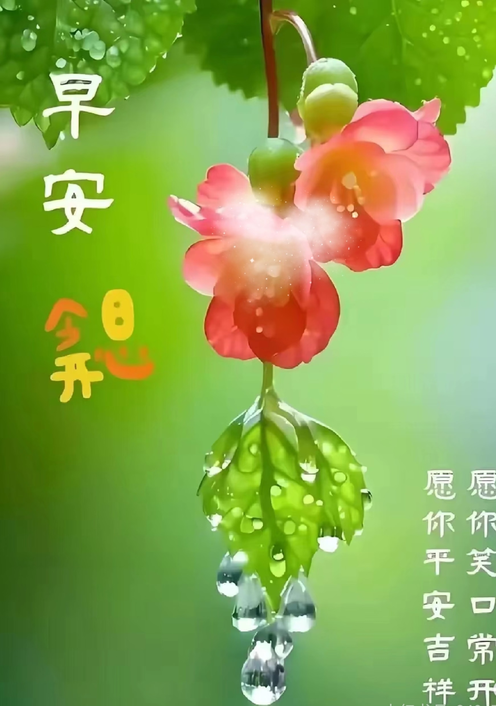 早安!愿你平安喜乐,笑容常开,吉祥如意每一天