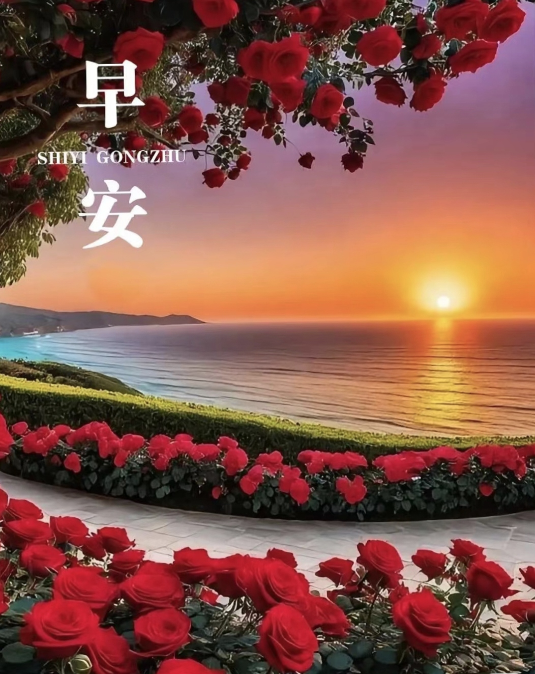 太阳缓缓升起,新的一天开始,早安!湖畔红花如梦似幻,绽放晨间的温柔.