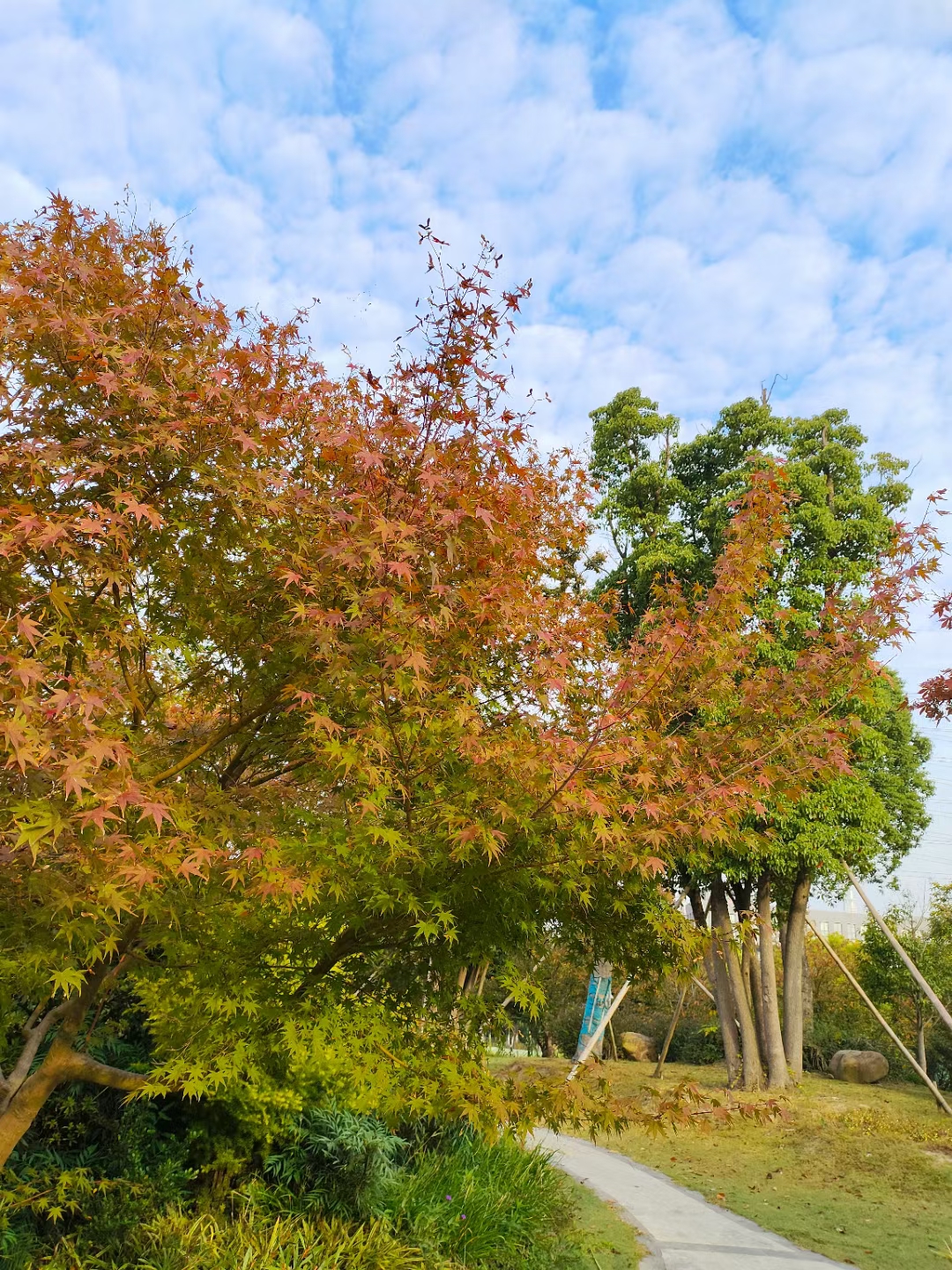 鼓舞人心的一段话:"所有的淡定自若,背后一定是熟能生巧