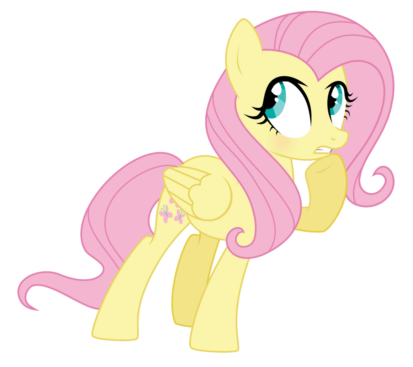 小蝶视频素材下载网站_小蝶百科