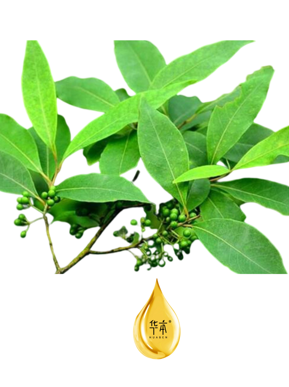 中医芳疗山鸡椒精油 山鸡椒精油 使用方法:熏香,敏 感肌肤需稀释涂抹