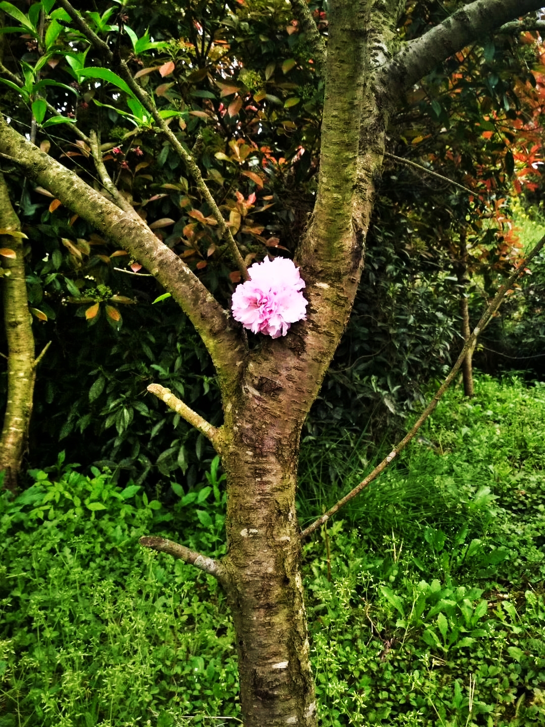 晒一下以前的图图吧