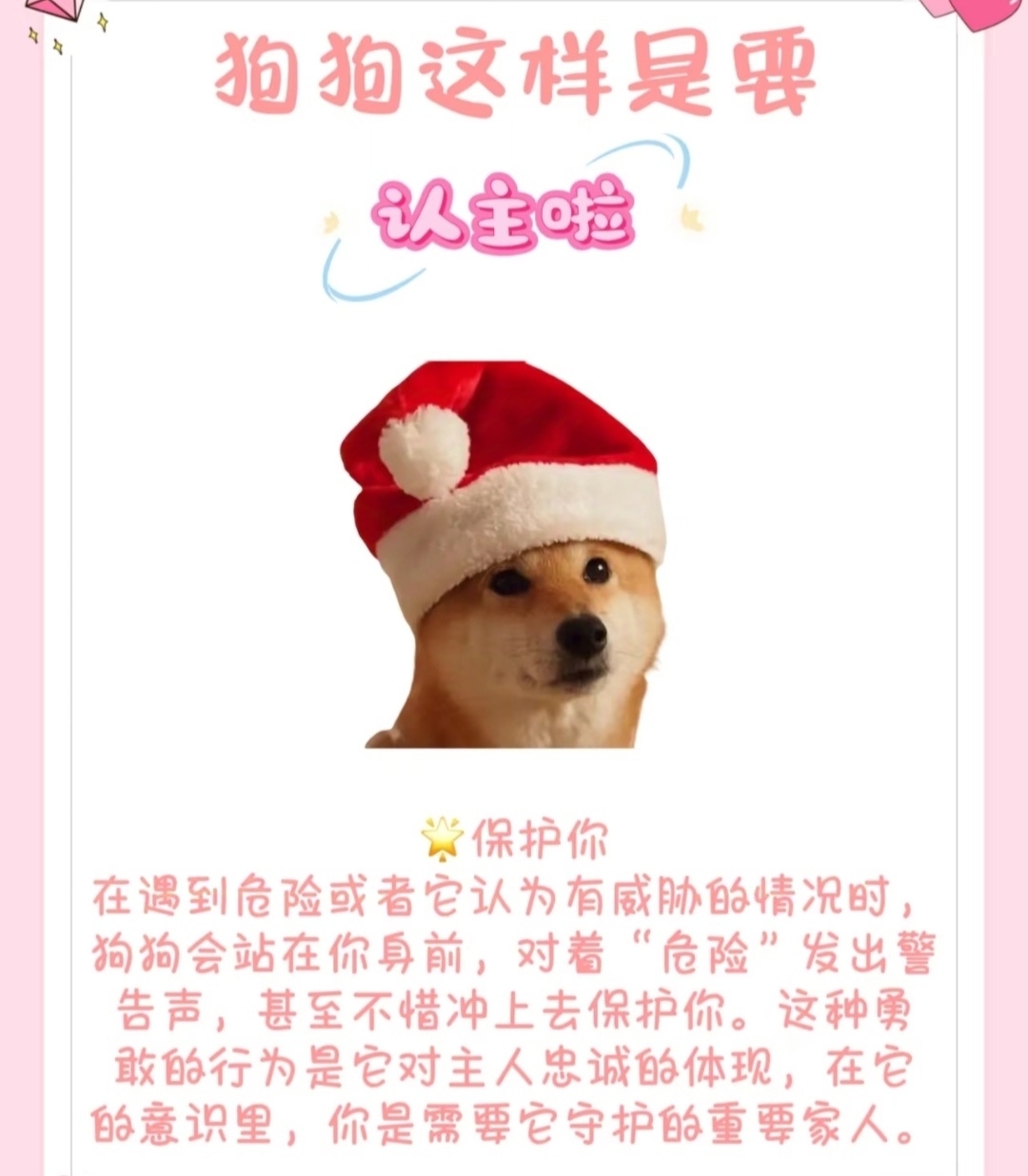 母狗认主宣言视频