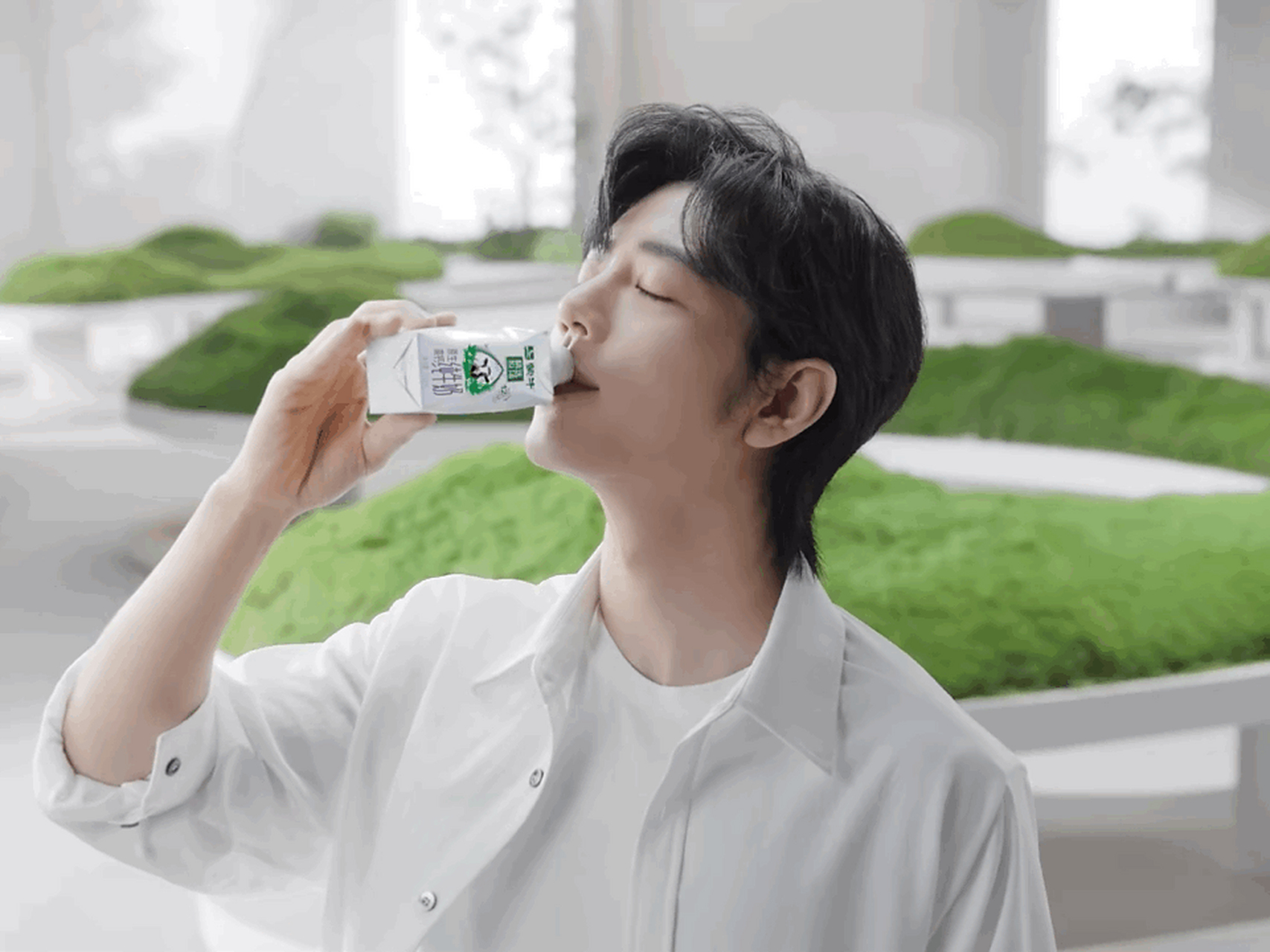 肖战# [星星]#蒙牛精选牧场品牌代言人