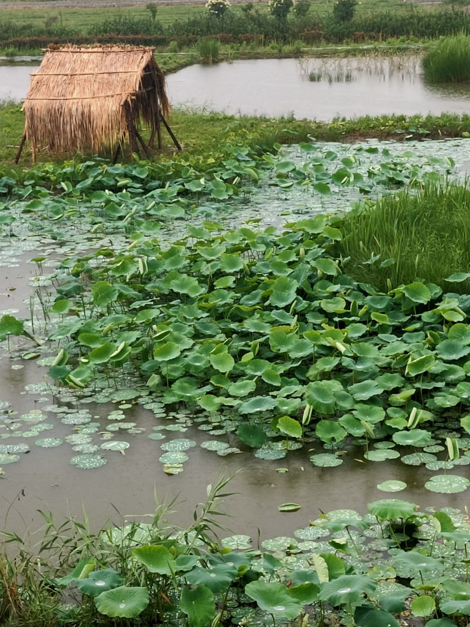 雨轩庄园石器时代上线啦,捉鱼捞虾,多种捕鱼体验,萌宠动物乐园,骨器