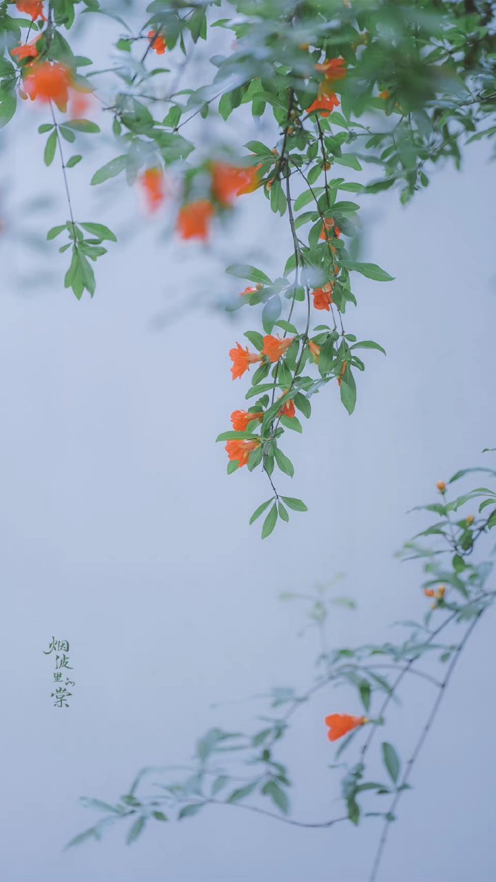 摄影/烟波里的棠