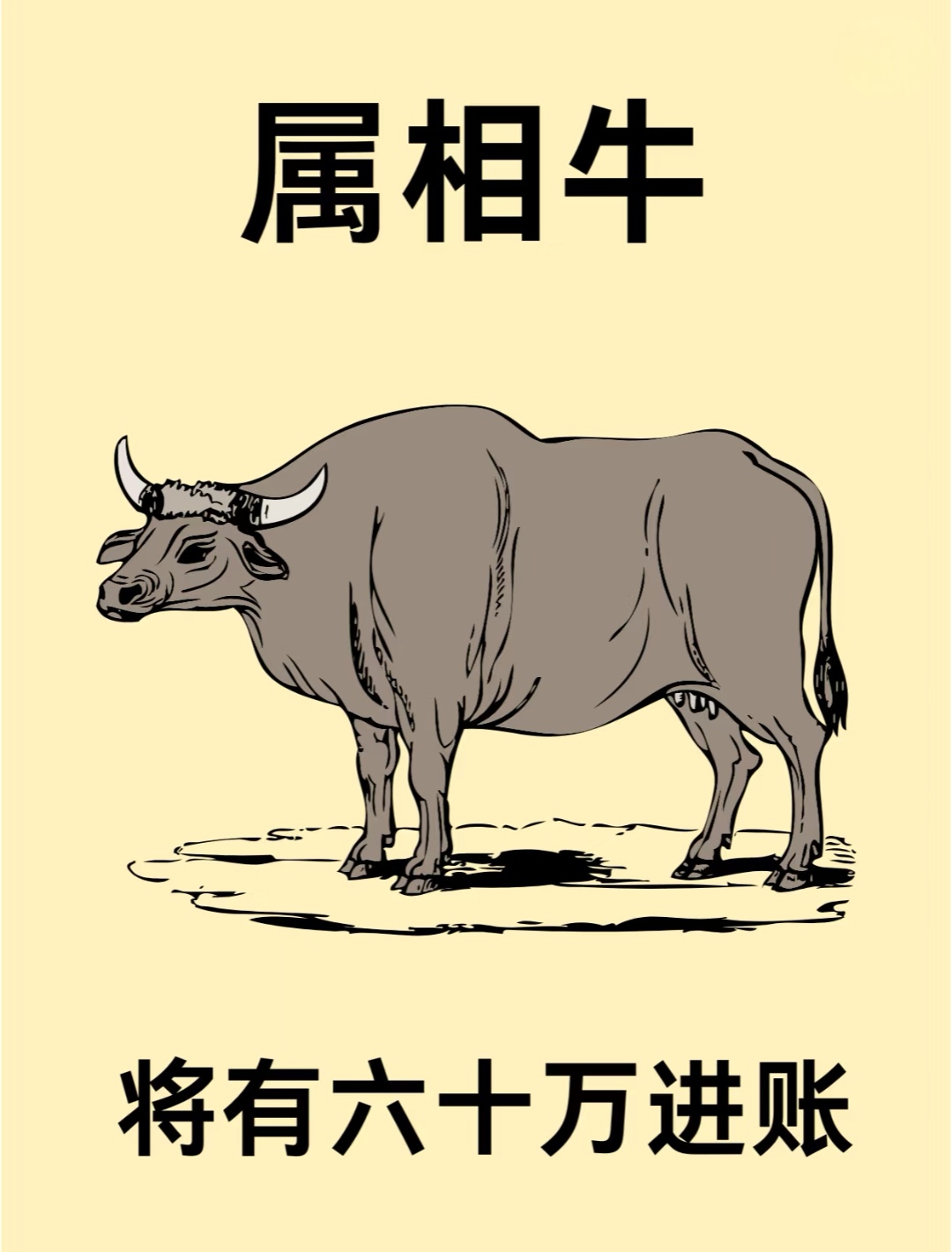 生肖牛的劫数运势分析法(属牛的劫数年份是)