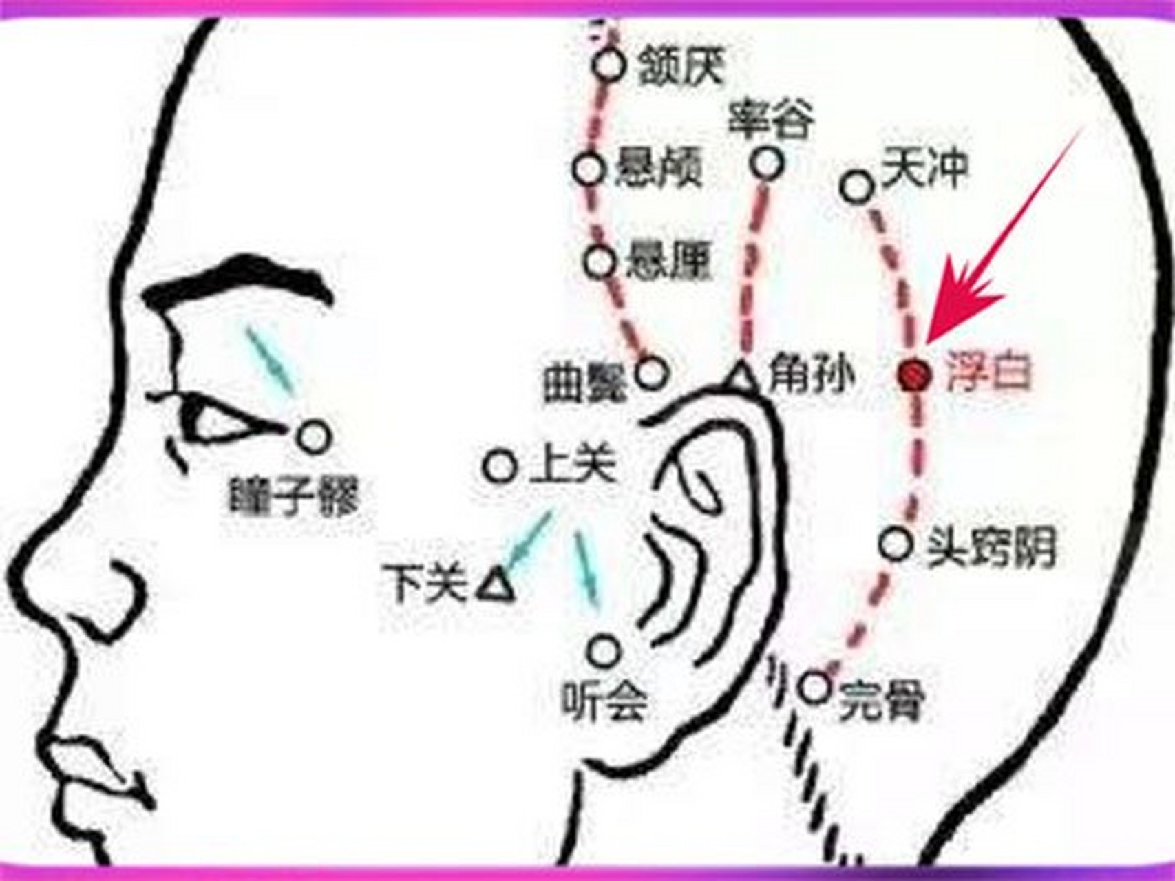 浮白穴是治疗白发的常用经验穴,它位于头顶部,耳后乳突的后上方,是足