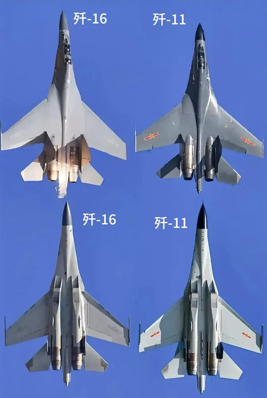 歼-16和歼-11俯视图,腹部图 大家觉得的两型飞机有什么明显不同吗?