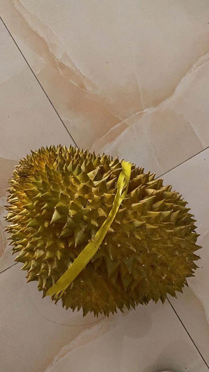 开榴莲,真的像拆盲盒一样,手都被扎到痛,果肉很完美#广西# #水果