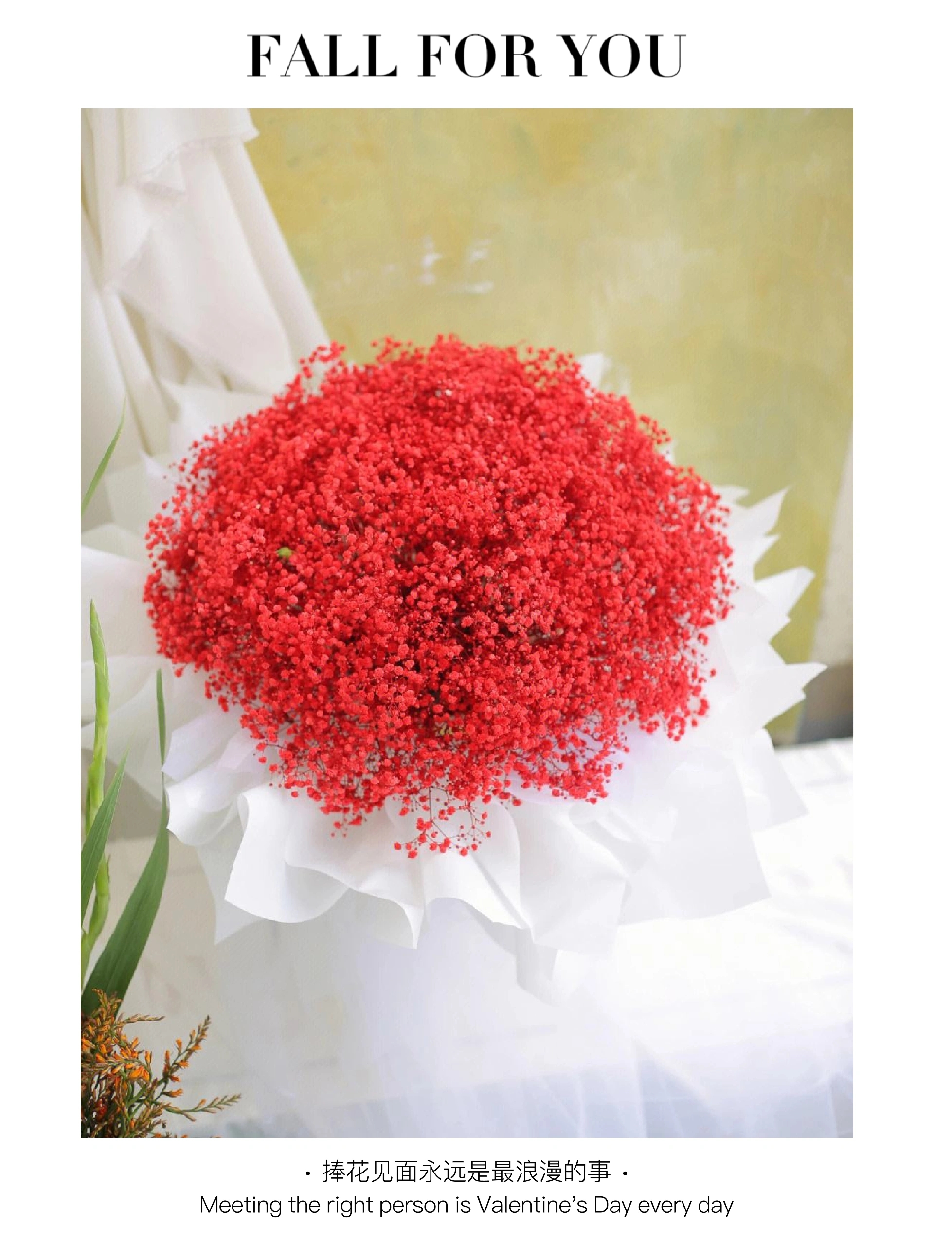 满天星💐 💐满天星的花语和寓意丰富多样