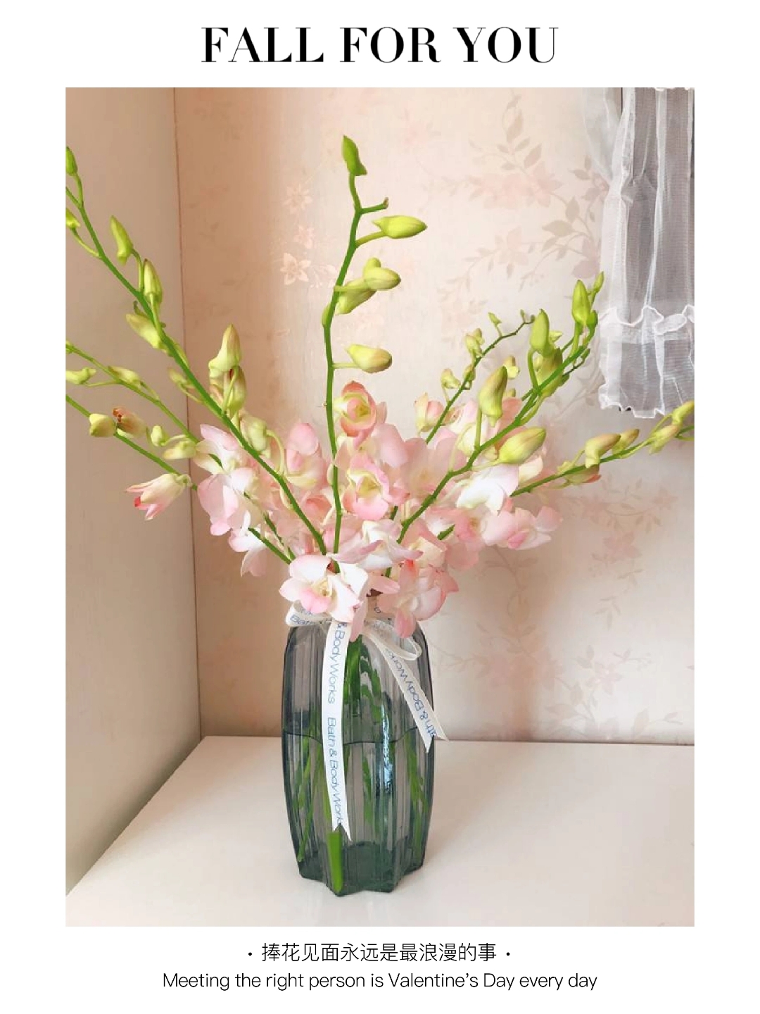 一束花的浪漫永不过时—千代兰 千代兰花的花语寓意着幸福,高贵和高雅