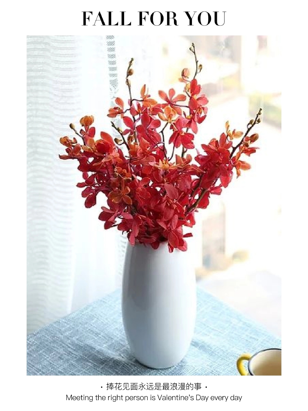 一束花的浪漫永不过时—千代兰 千代兰花的花语寓意着幸福,高贵和高雅