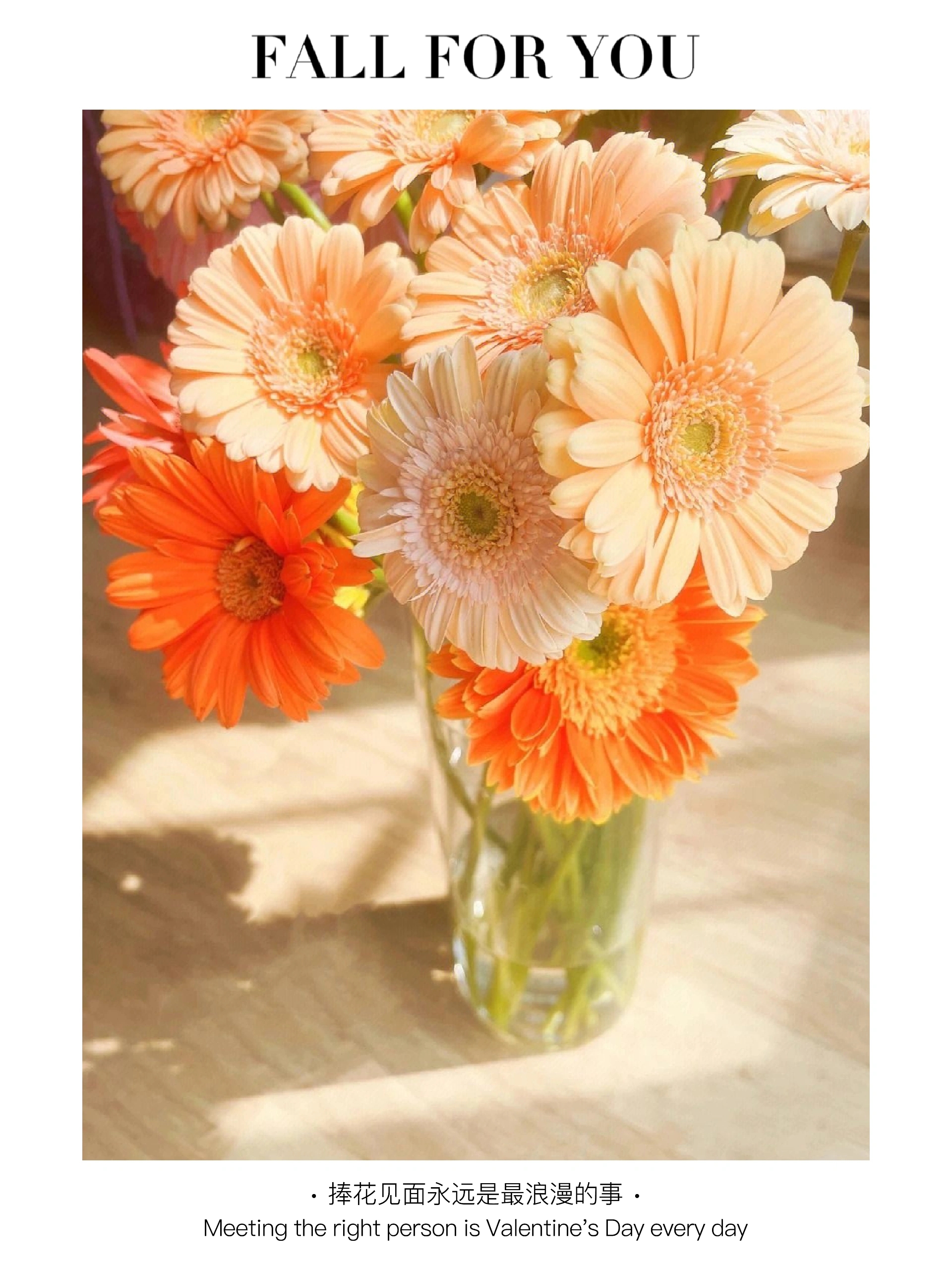 一束花的浪漫永不过时-弗朗98 98弗朗花(扶郎花)的花语寓意丰富