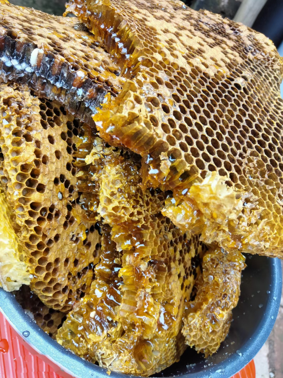 蜂蜜糖,好吃正宗纯野生,有没有喜欢吃的?来[来][来][开心][开心]