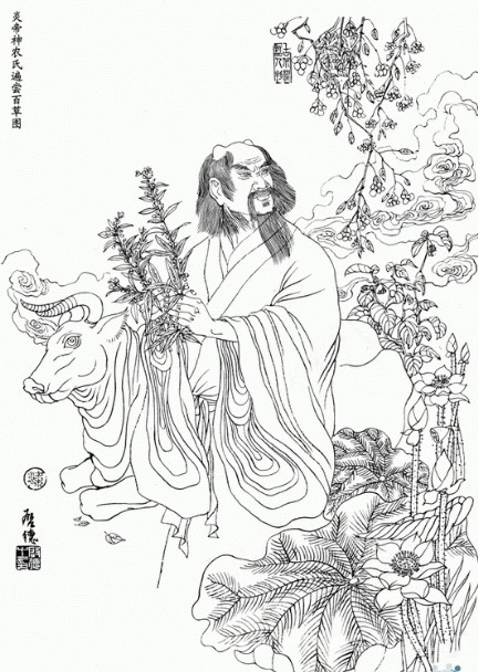 平生夙愿为一名医生,习得中医精髓,传承中医国粹