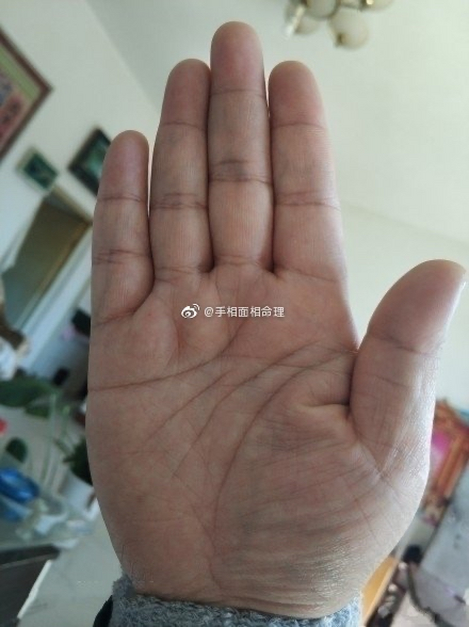 手相预测#从手掌中看,双重智慧线,预示着你非常的聪明,智商比一般人