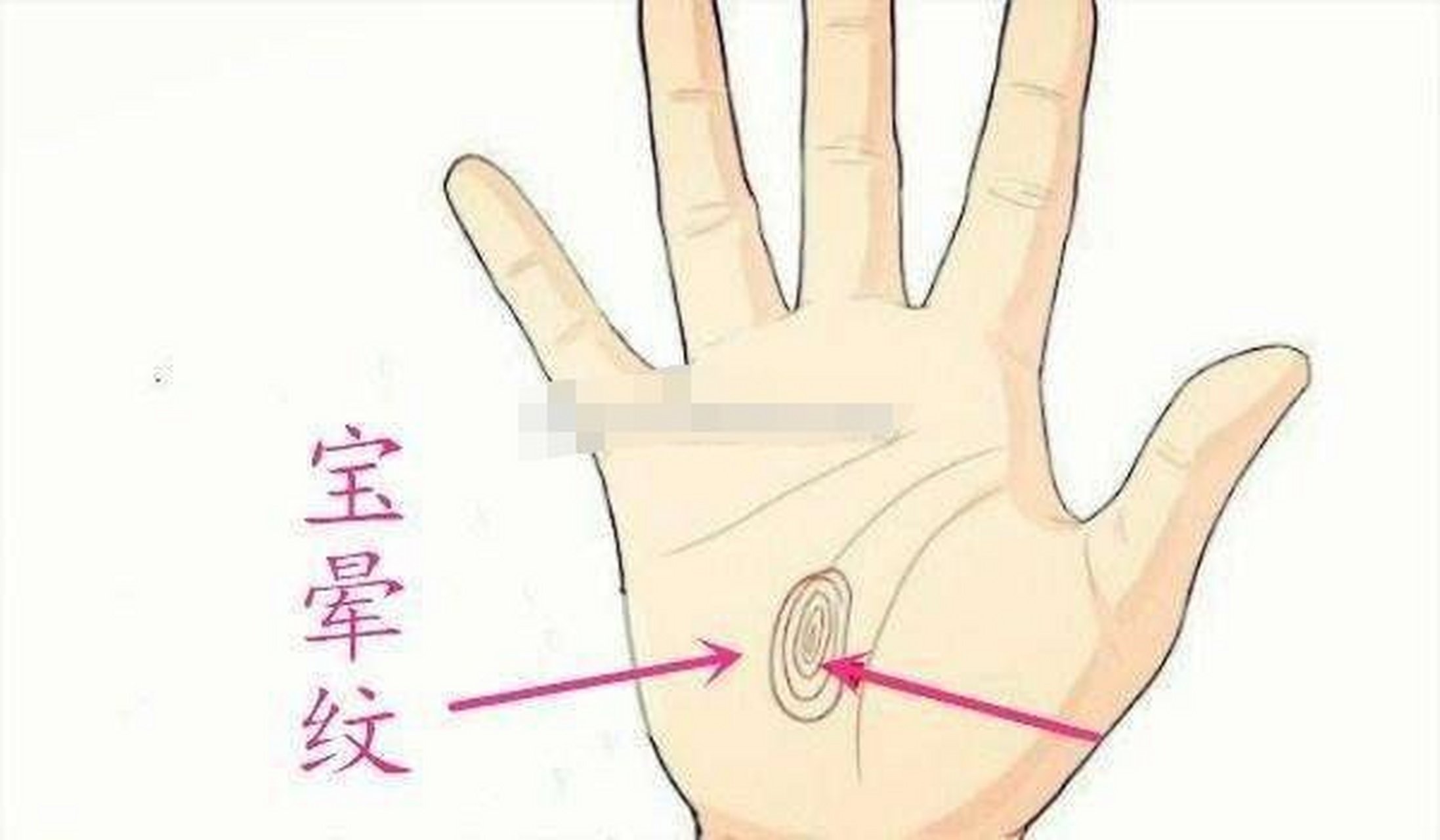 宝晕纹,指的是手掌掌纹的纹理,就跟圈圈一样,一圈一圈的,跟月晕差不多