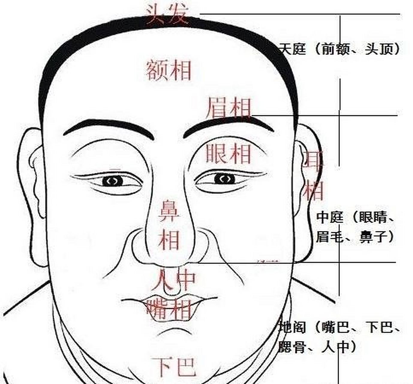 [cp]天庭饱满,仁爱刚直!