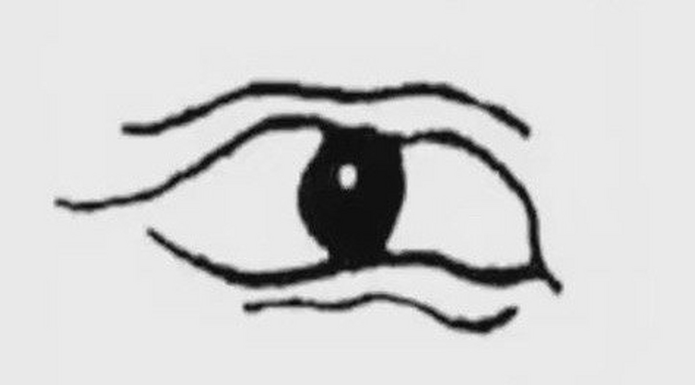 面相马眼,  眼皮宽松,眼睛凸露,上波两条微微起角,终日好像有泪,鱼尾