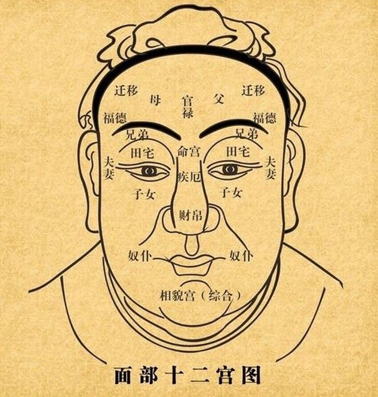 我们来复习下面相十二宫的位置,如图,福德宫就是眉毛上方的位置.