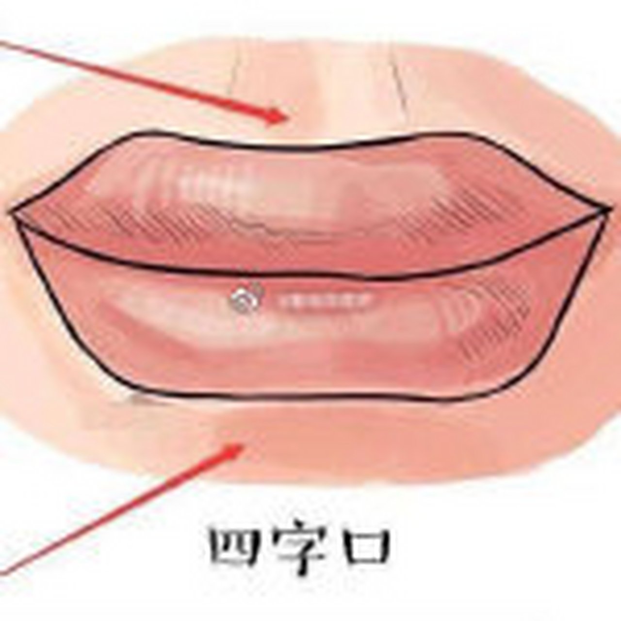 你是什么样富贵嘴 三种富贵的嘴型  一,弓形口 这种唇形非常好看,嘴角