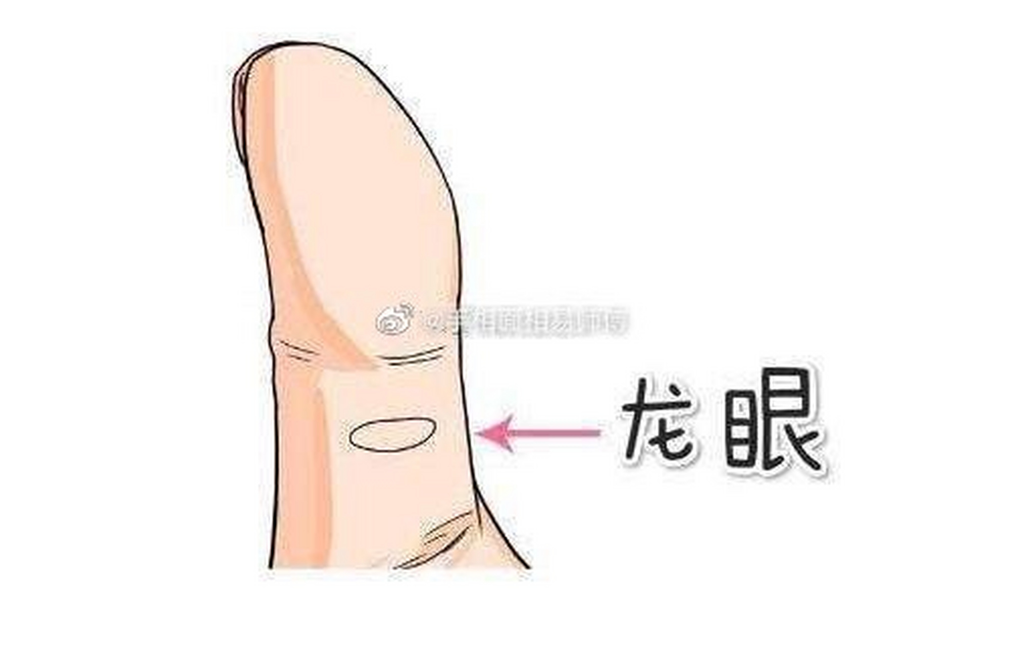 你有龙眼纹这种易富贵的手纹吗?