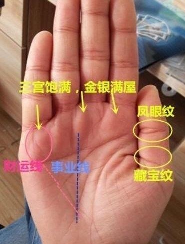 家族戒指纹凤眼纹并存图片