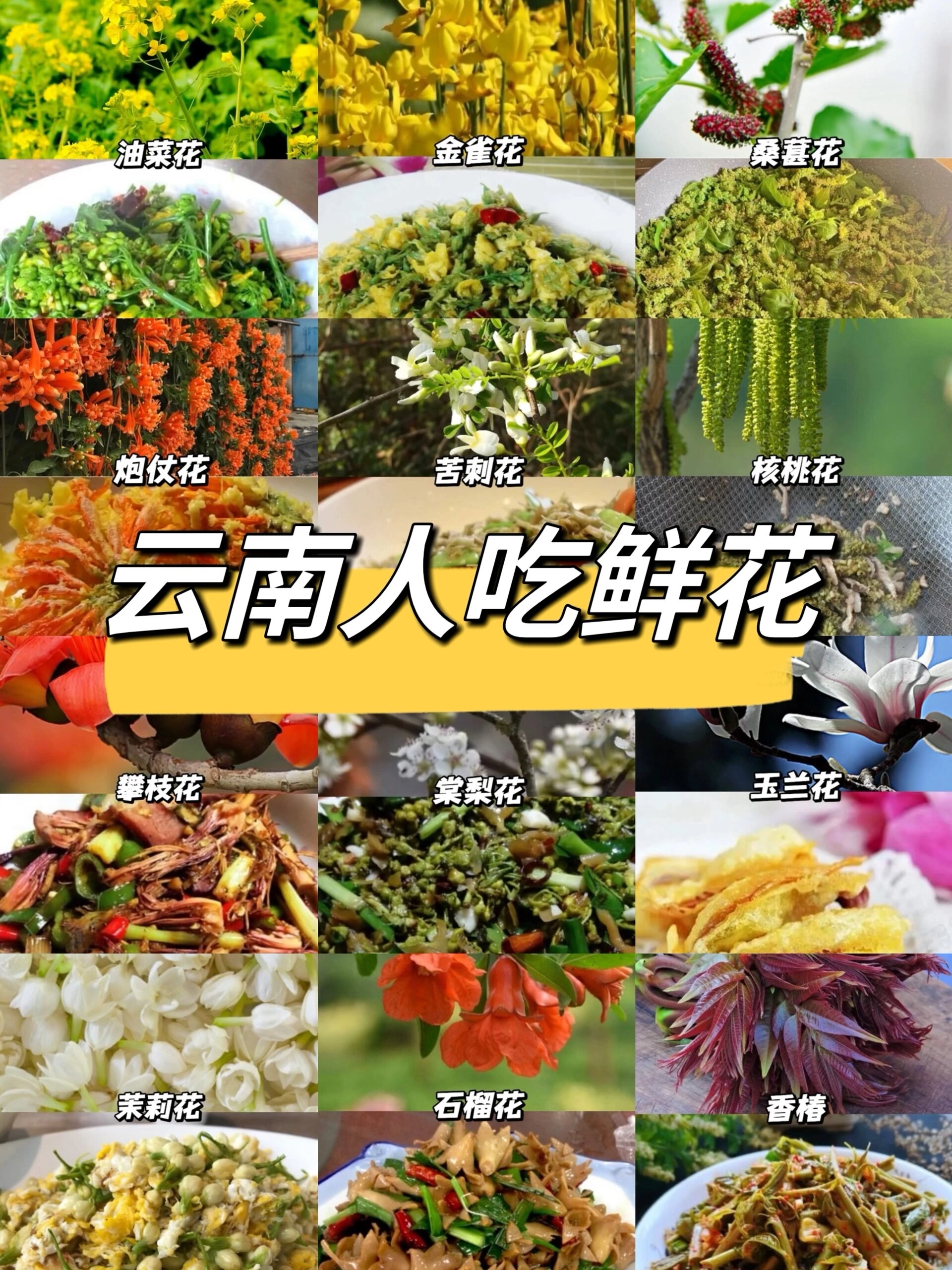 鲜花入菜食谱30种图片