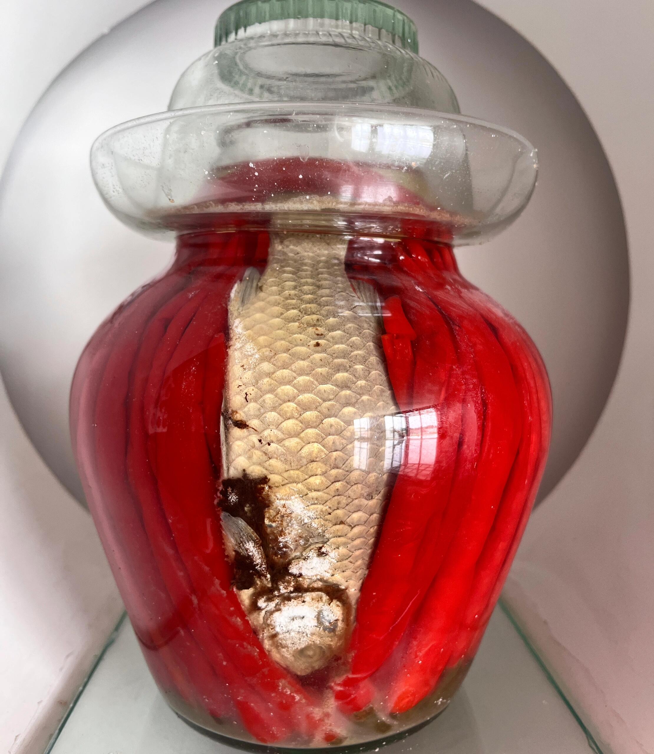 四川泡菜给大家整理了下我家的泡菜合集