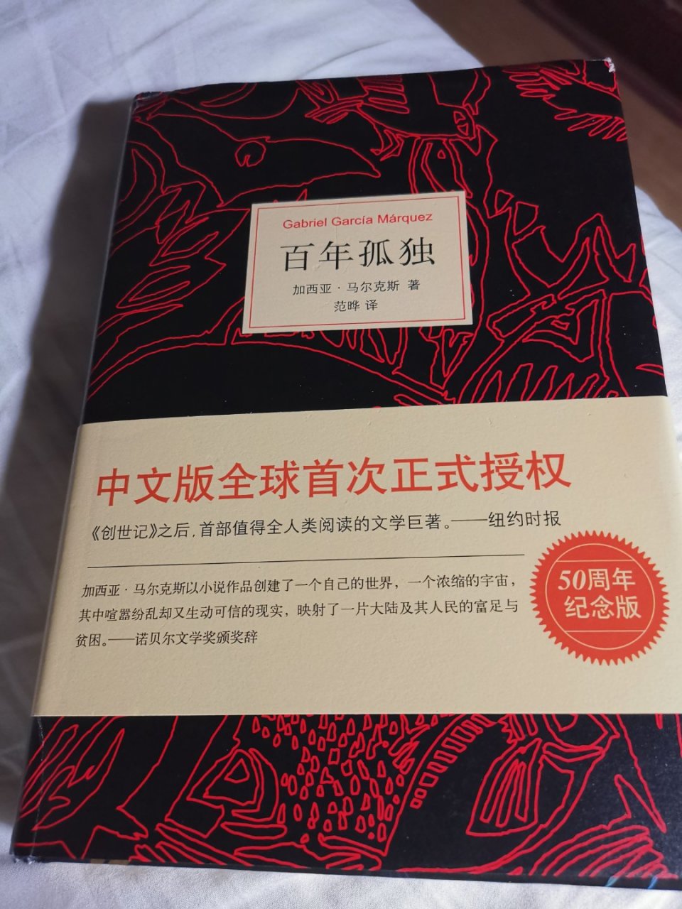 《百年孤独》的场景与蕾梅黛丝