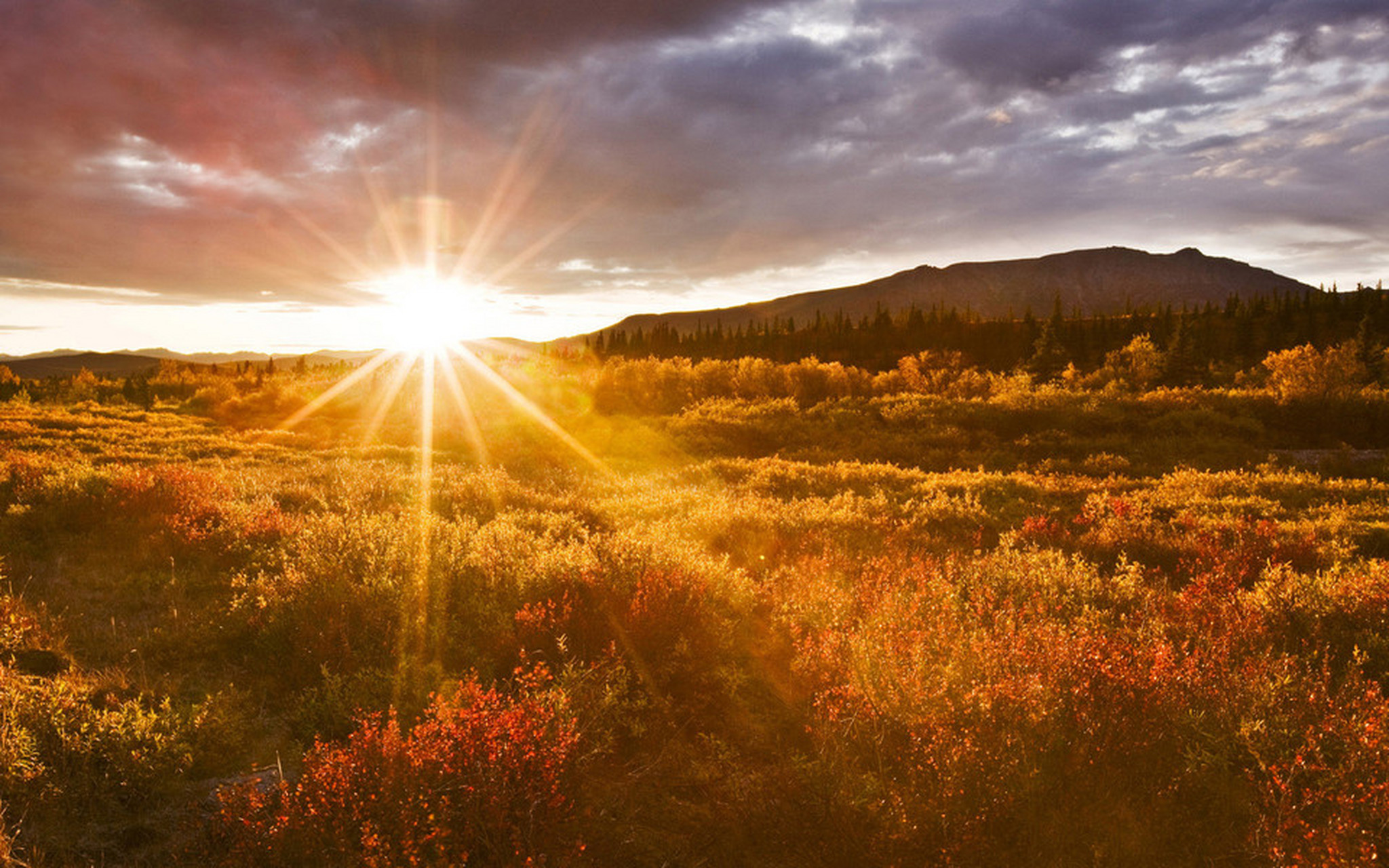 太阳的实际位置实则在地平线以下,所以初升的旭日虽然光芒万丈,但是却