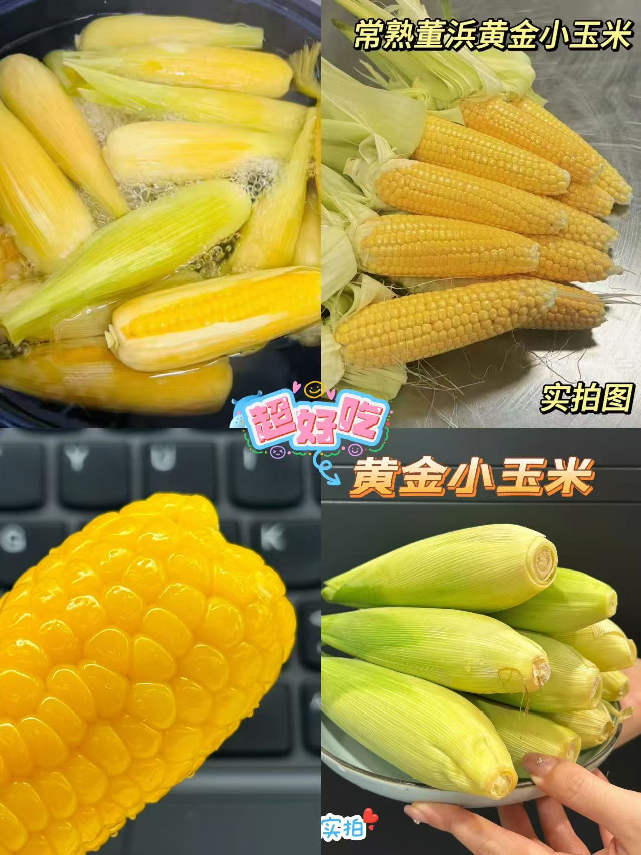 尝鲜季,黄金小玉米,新鲜上市,甜美多汁,每一口都是大自然的馈赠!