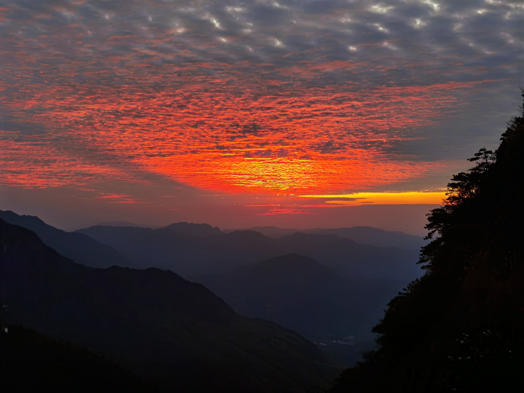 不平凡的周一, 七月人民币贷款疲软, 碧桂园11只人