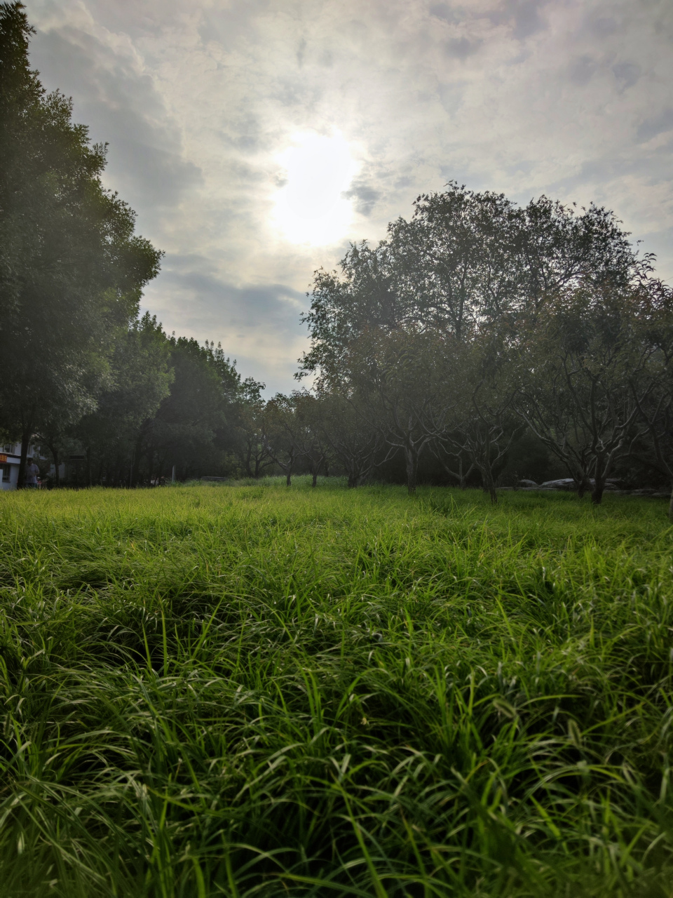 你若真实,便世界真实. 你若倾情付出,便世界真情以对.