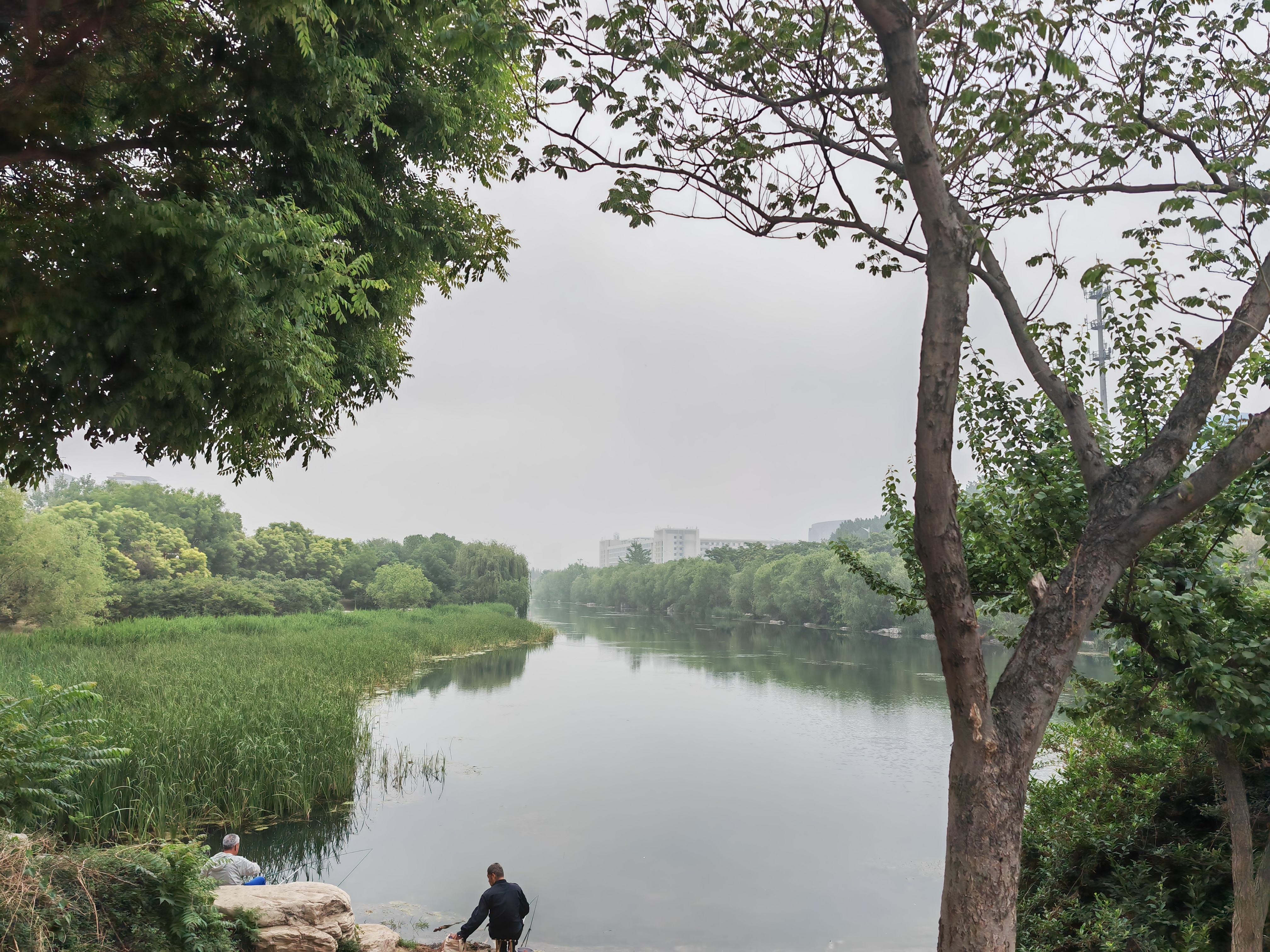 河北青龙河图片