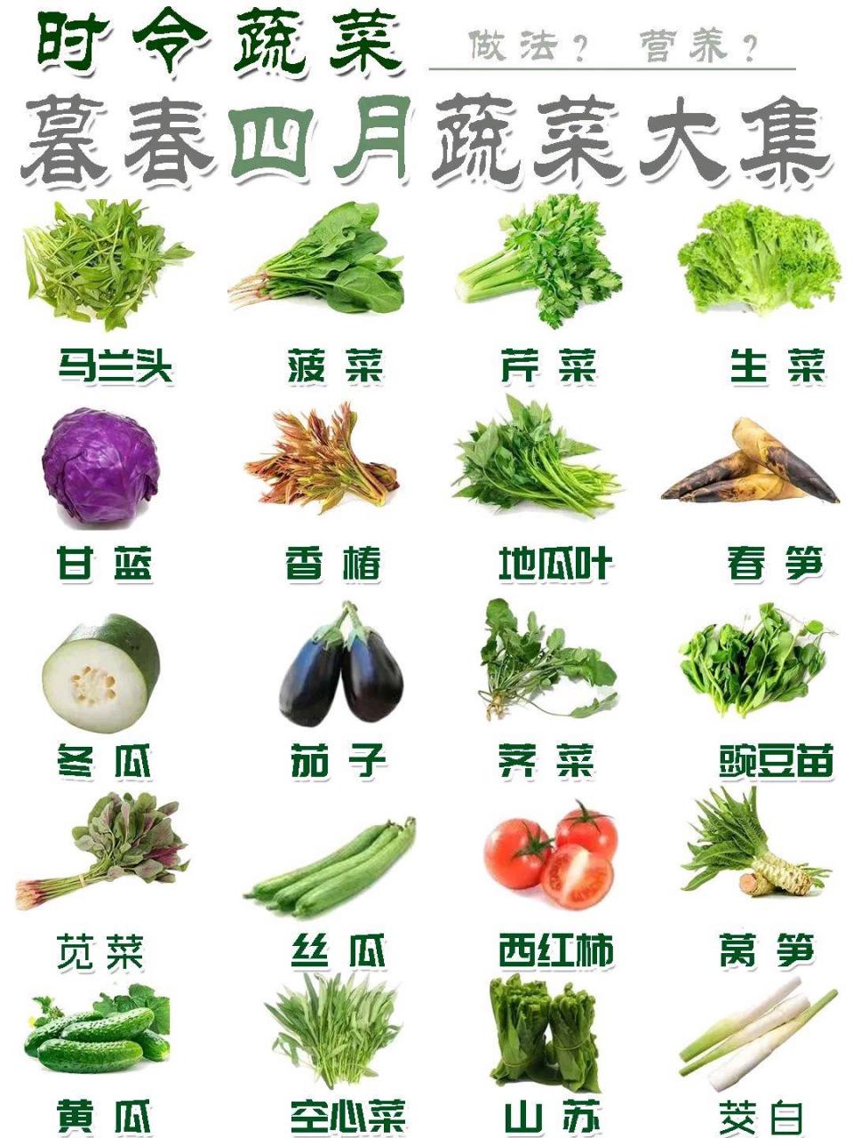 四月时令蔬菜,马兰头听过吗?