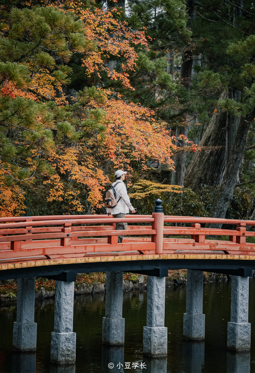 秋日日本高野山 |尋找紅葉的詩與遠方 和歌山縣的高野山,是1200年前