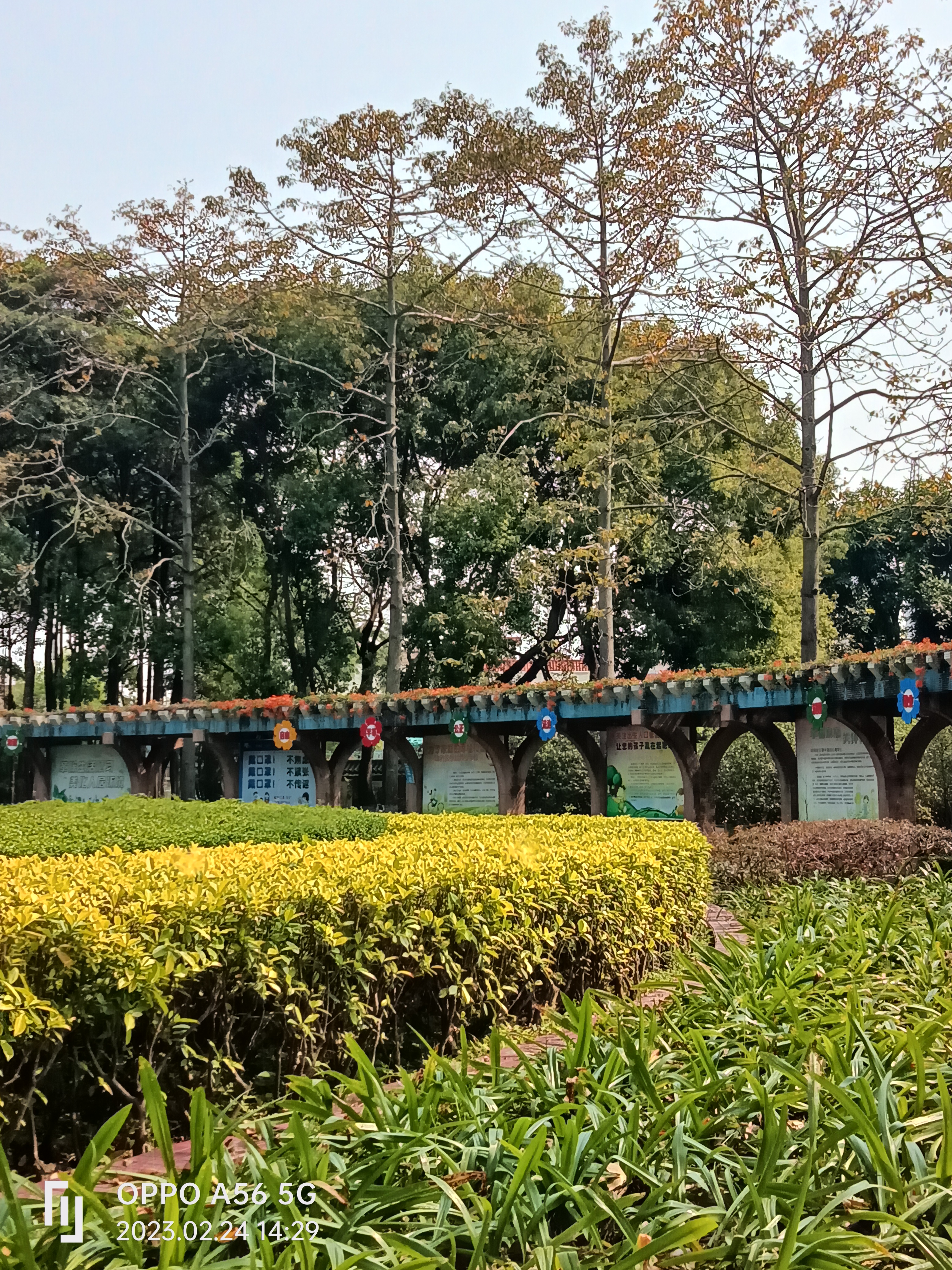 由于女儿的工作问题,已经有9个月没有上班了,现在在顺德容桂容里居委