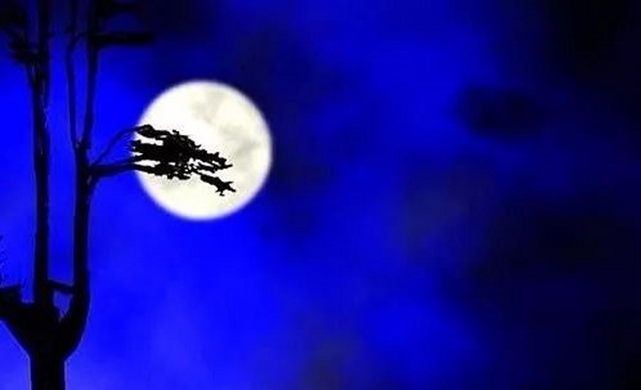 东门之杨,——东门外面有白杨 其叶牂牂.