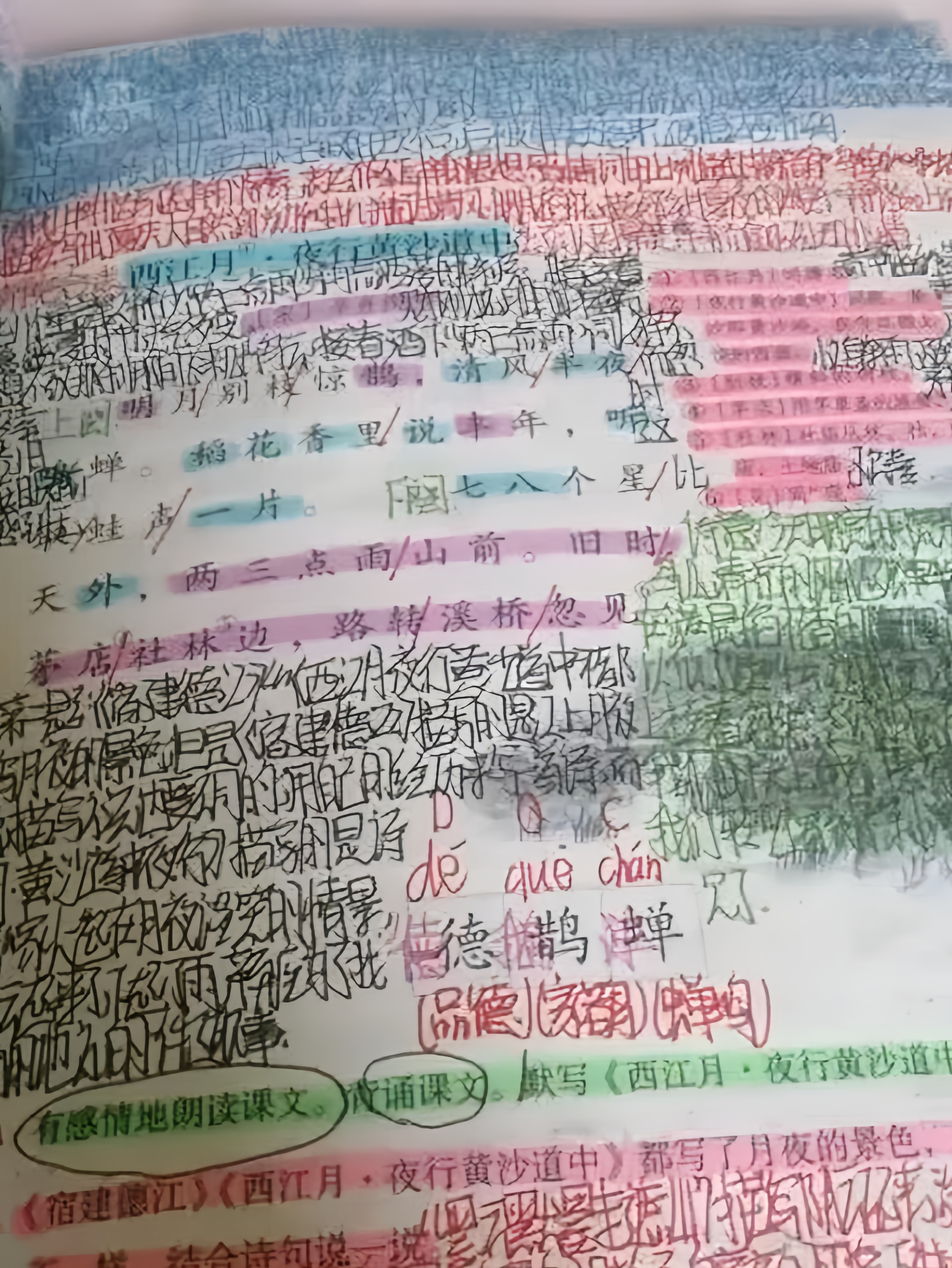 我被小学生的语文笔记所震撼了,这……这是小学生的课堂笔记?