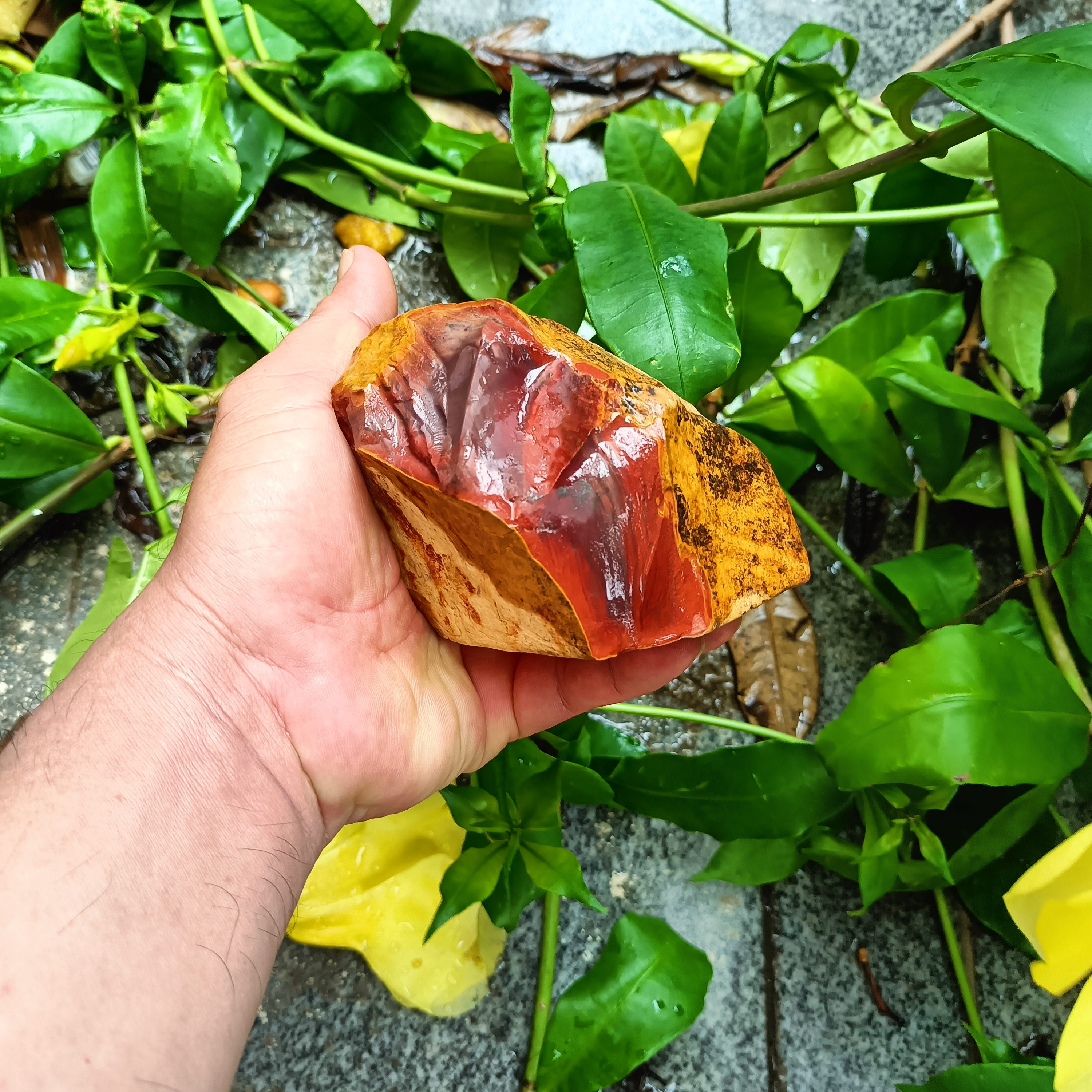 东方市这块石头好很红