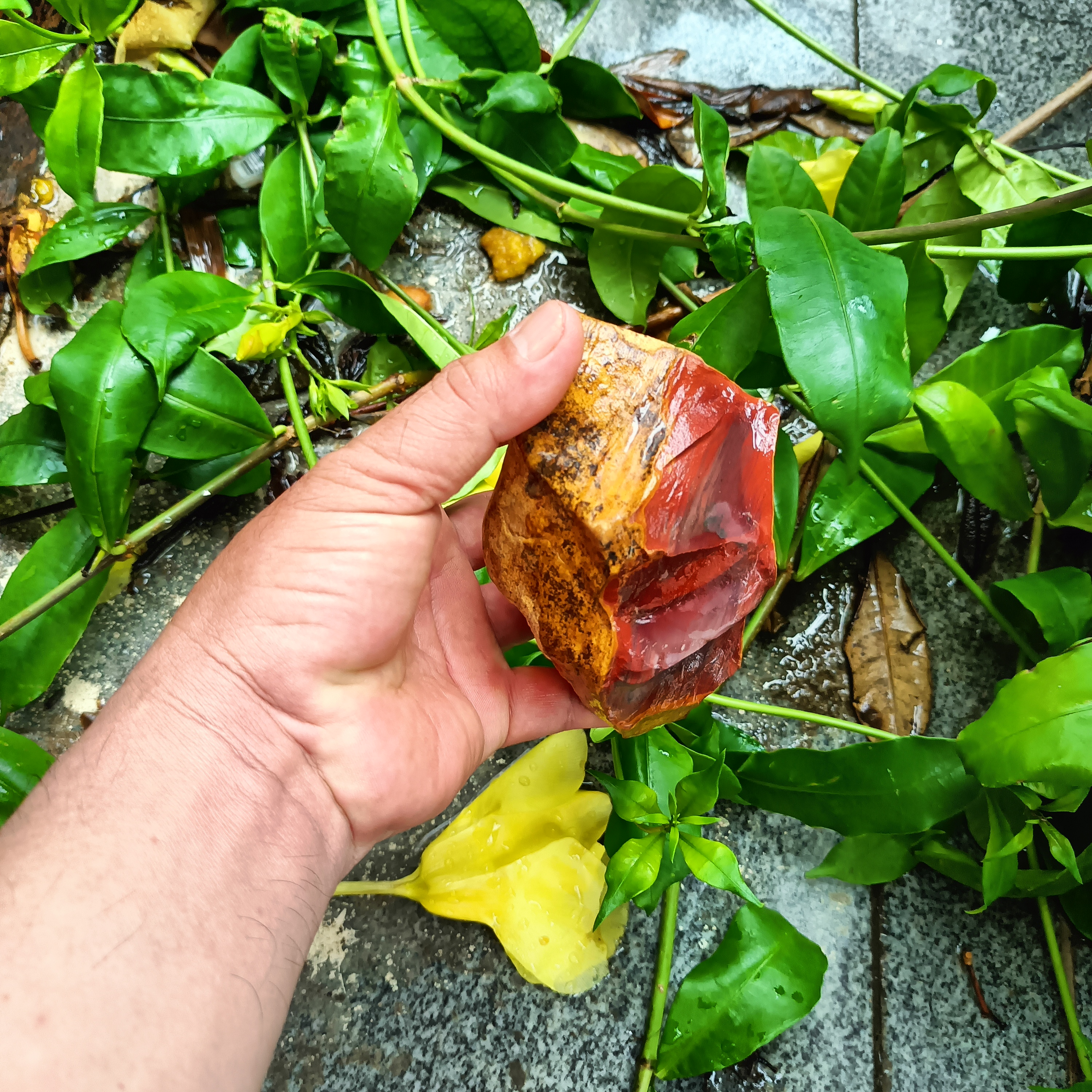 东方市这块石头好很红