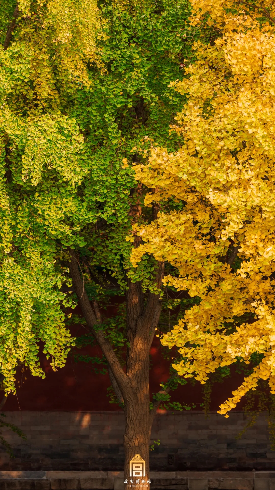 图片来源:户外视界秋天图片秋图片最美秋天图片秋季风景美图秋天图片